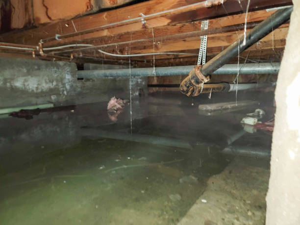 Best Ceiling water damage repair  in Brockway, PA
