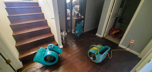 Best Carpet water damage restoration  in Brockway, PA