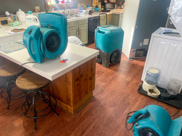 Reliable Brockway, PA Water damage restoration Solutions