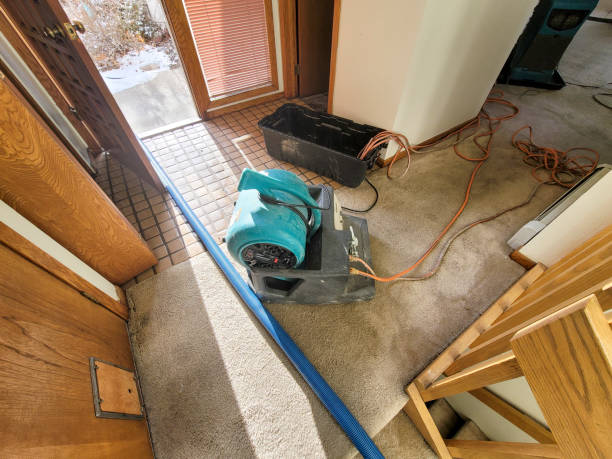  Brockway, PA Water damage restoration Pros