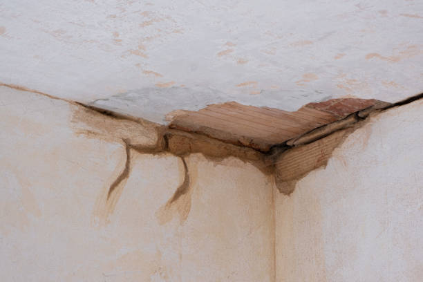 Best Commercial water damage restoration  in Brockway, PA