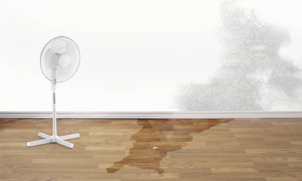 Best 24-hour water damage restoration  in Brockway, PA