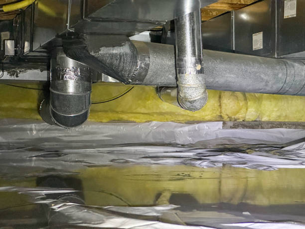 Best Water damage contractors near me  in Brockway, PA