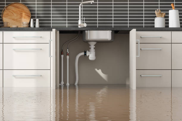 Best Sewage cleanup and water damage restoration  in Brockway, PA