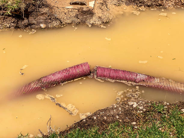 Best Water damage cleanup near me  in Brockway, PA